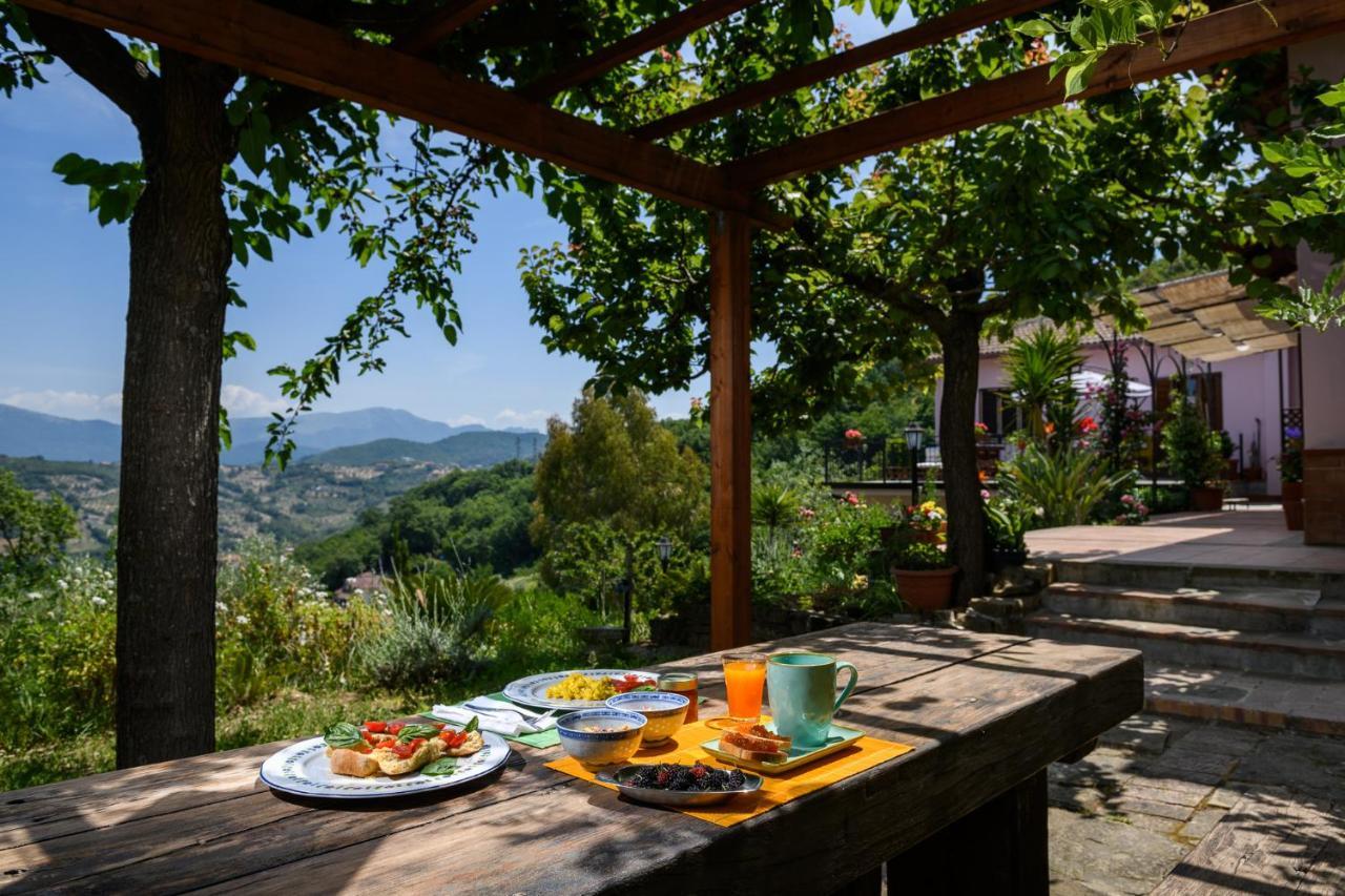B&B Albachiara Casa Di Campagna Ogliastro Cilento Εξωτερικό φωτογραφία