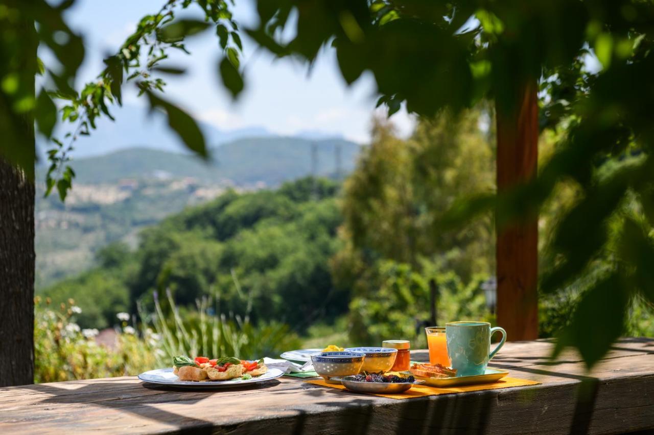 B&B Albachiara Casa Di Campagna Ogliastro Cilento Εξωτερικό φωτογραφία