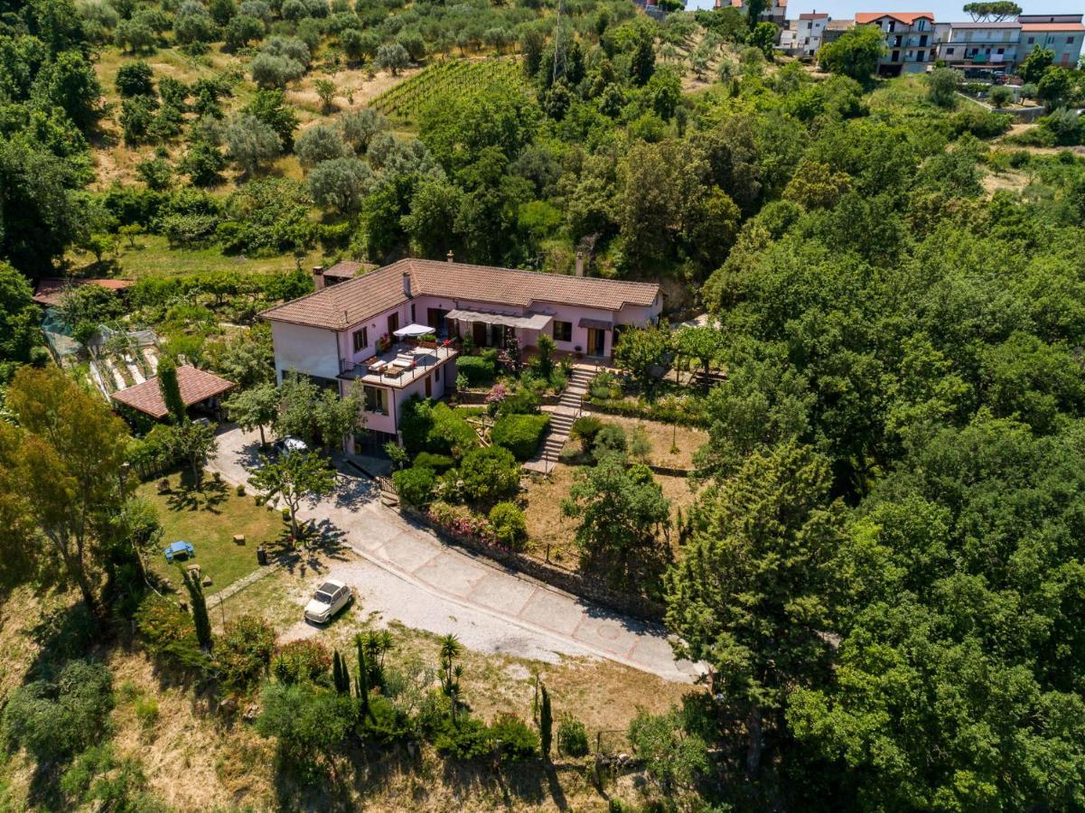 B&B Albachiara Casa Di Campagna Ogliastro Cilento Εξωτερικό φωτογραφία