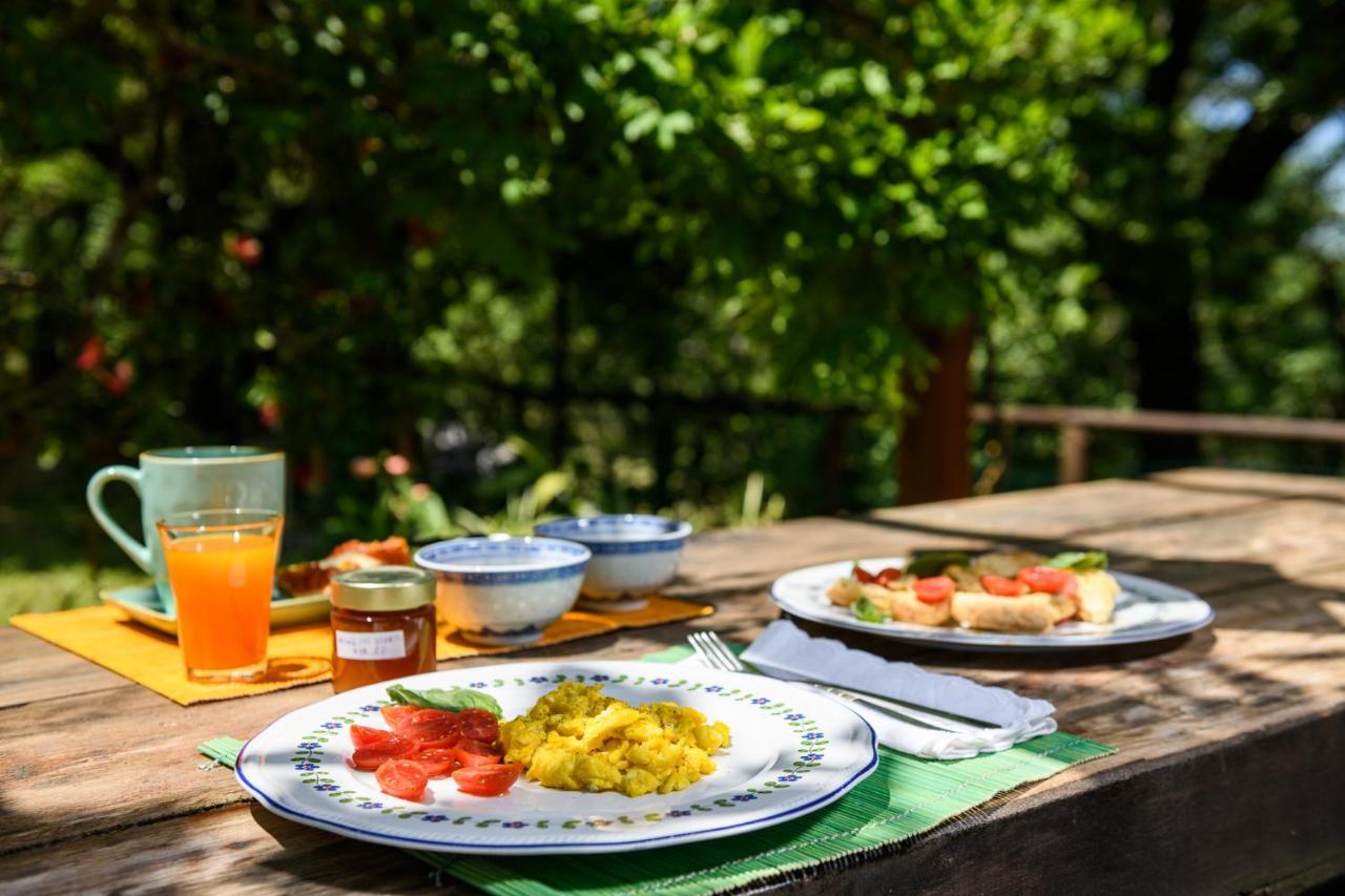 B&B Albachiara Casa Di Campagna Ogliastro Cilento Εξωτερικό φωτογραφία