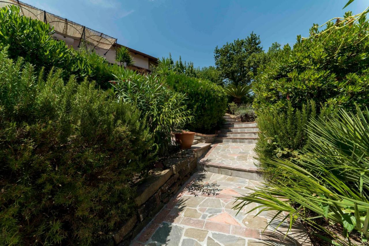 B&B Albachiara Casa Di Campagna Ogliastro Cilento Εξωτερικό φωτογραφία