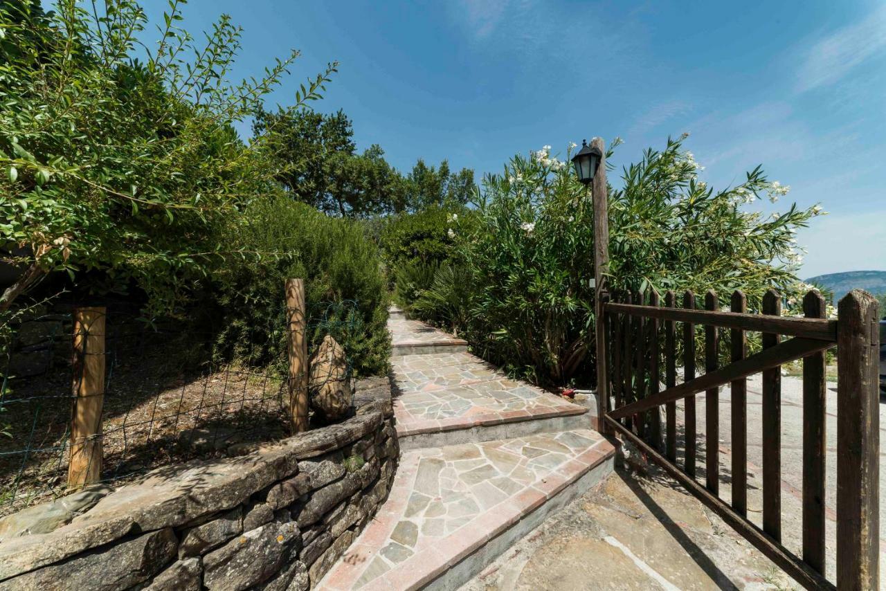 B&B Albachiara Casa Di Campagna Ogliastro Cilento Εξωτερικό φωτογραφία